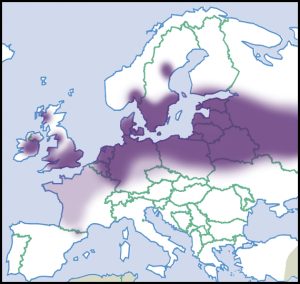 kleverige poelslak